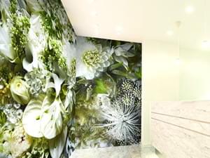 東京中央美容外科 札幌駅前院